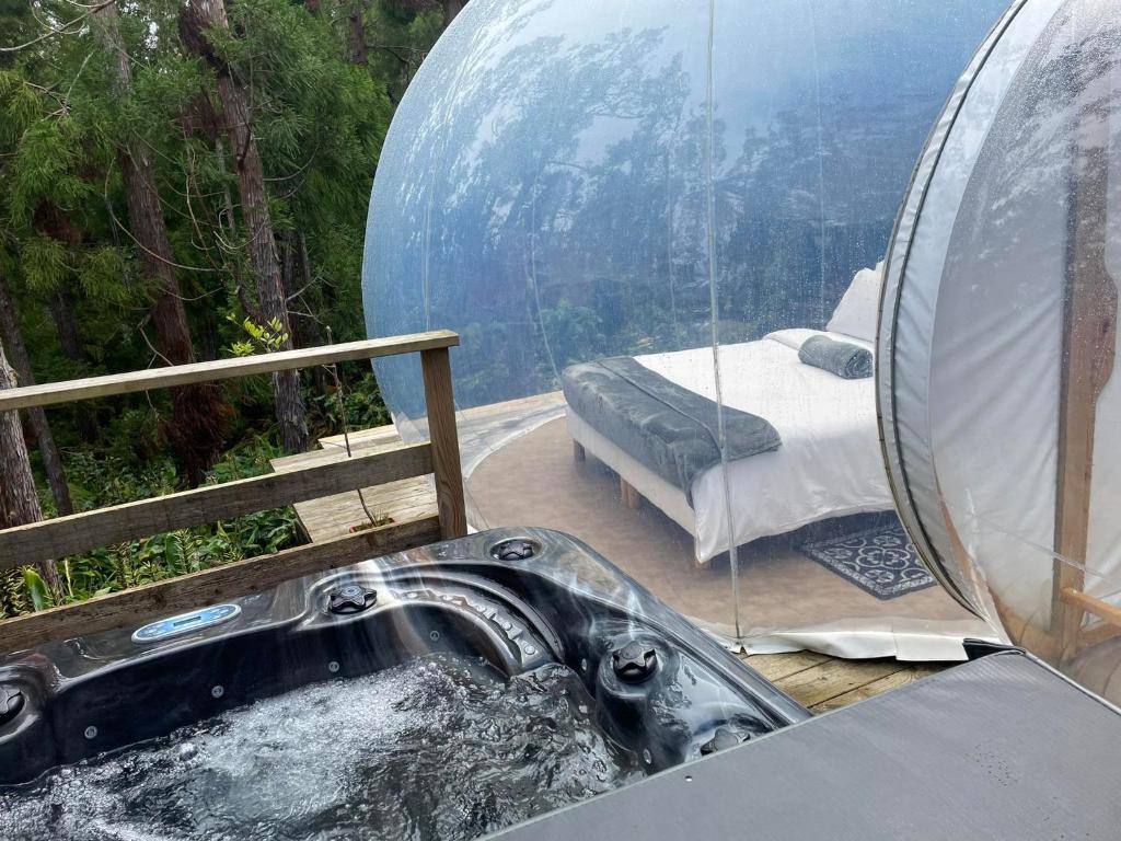 Příroda nedaleko luxury tent