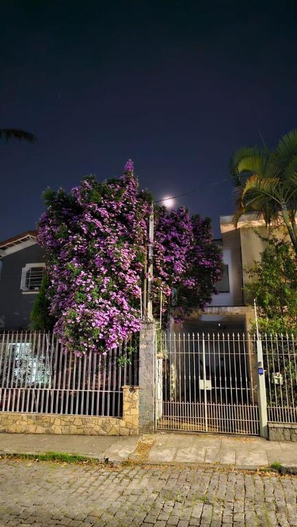 a tree with purple flowers behind a fence at Pousada Madalena in Sao Paulo
