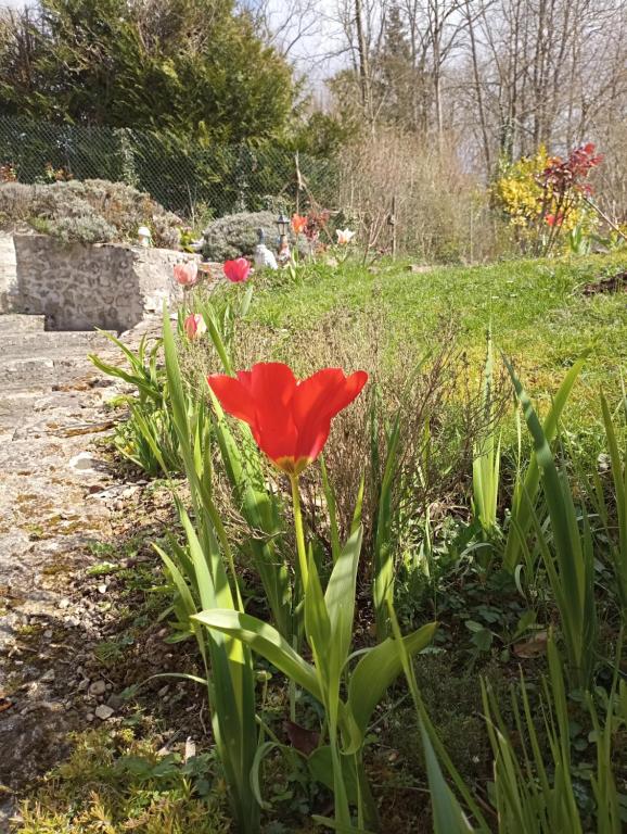 Zahrada ubytování Gîte l'Olivianne