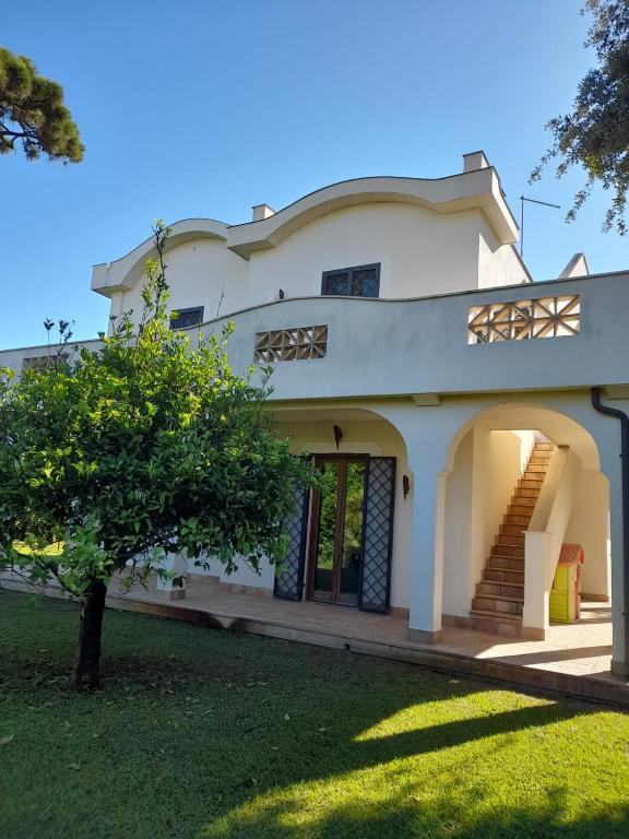 a white house with a tree in front of it at Villa Eliana Fregene in Fregene