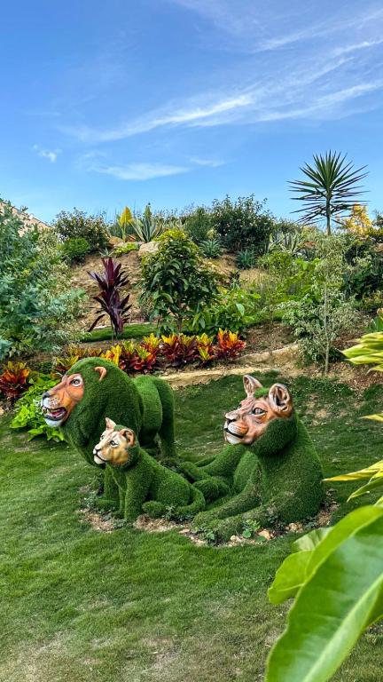 Giardino di Hotel PAUCHÉ Topiario Zapatoca