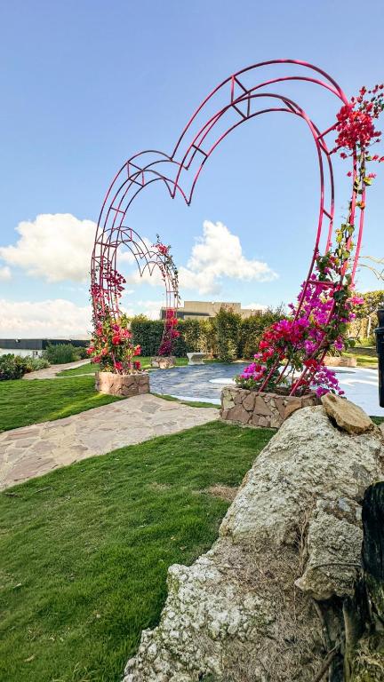Giardino di Hotel PAUCHÉ Topiario Zapatoca