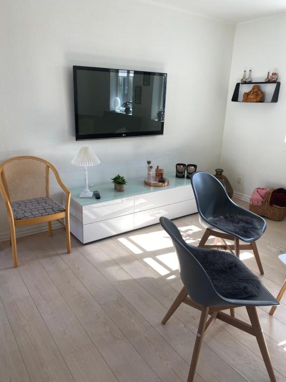 TV a/nebo společenská místnost v ubytování Dejlig feriehus i den gamle bydel
