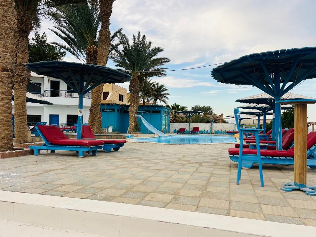 sphinx resort dahab内部或周边的泳池