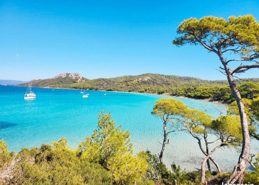 - une vue sur la plage avec un bateau dans l'eau dans l'établissement Studio 4 personnes sur la Presqu'île de Giens avec piscine et accès direct sur la plage, à Hyères