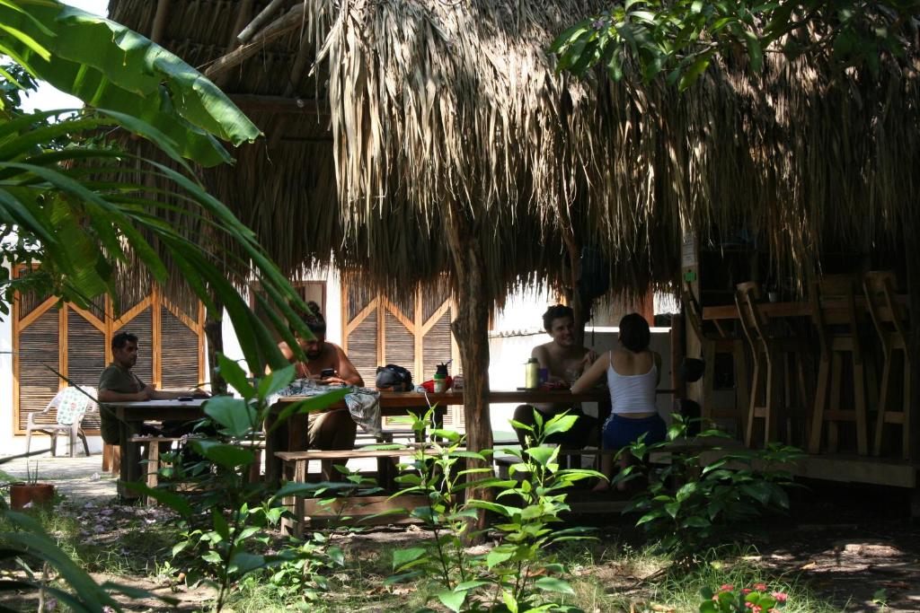 a group of people sitting at a table under a palm tree at Hostel Nugeku in Rincón