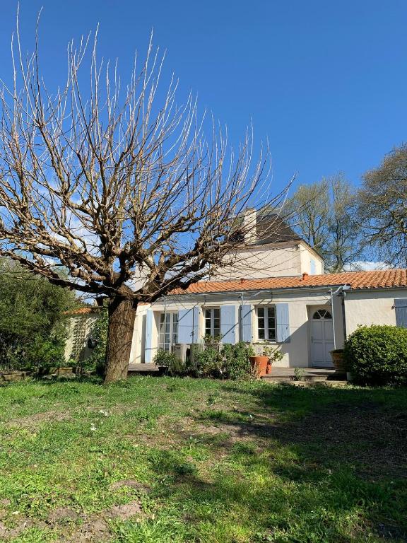 une maison blanche avec un arbre dans la cour dans l'établissement Maison de charme séjour à la ferme La Petite Sabliere, à Saint-Just