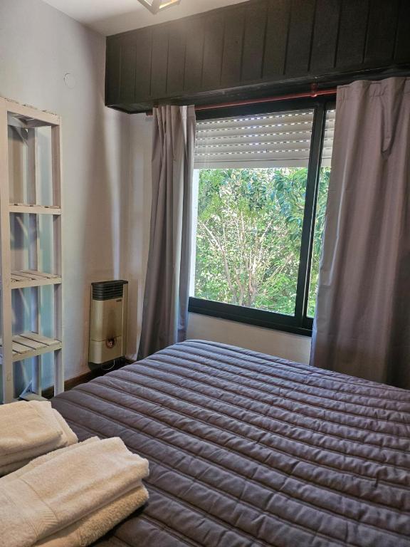 Departamento Dorsi Céntrico