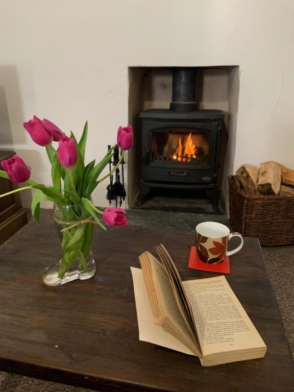 a table with a book and a vase of flowers and a fireplace at Cottage Retreat Snowdonia in Capel-Curig