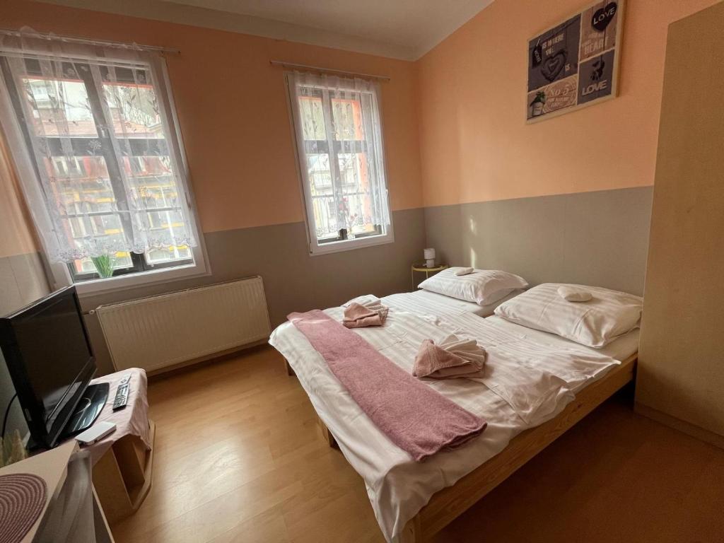 Postel nebo postele na pokoji v ubytování Penzion Jáchymov Pod Lanovkou