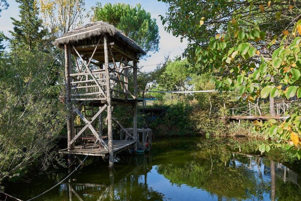 Příroda nedaleko apartmánu