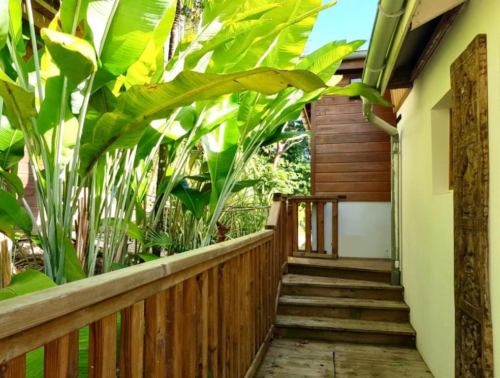 Zahrada ubytování T3 de charme avec Rooftop vue mer, le Cactus