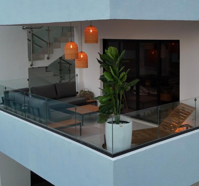a living room with a glass table and a potted plant at Terraza Caribeña in Bayahibe