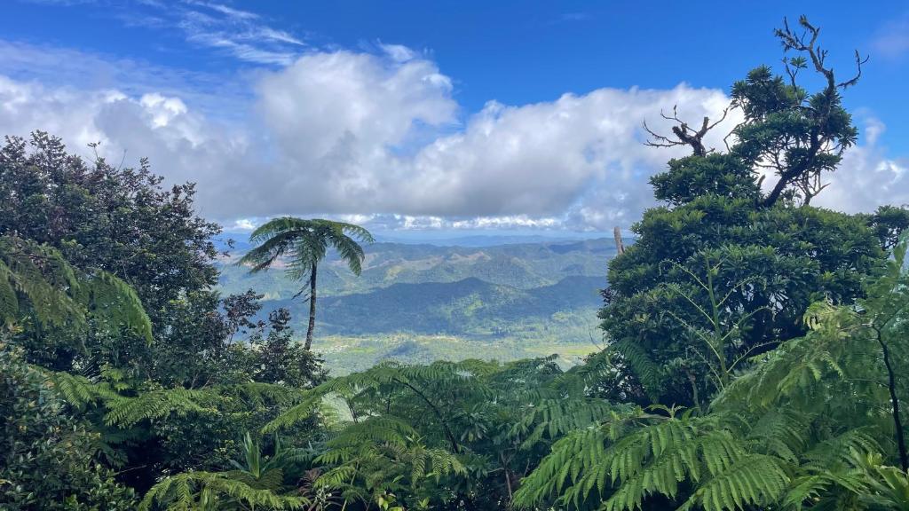 Village Stay Fiji at Navai Village Fiji
