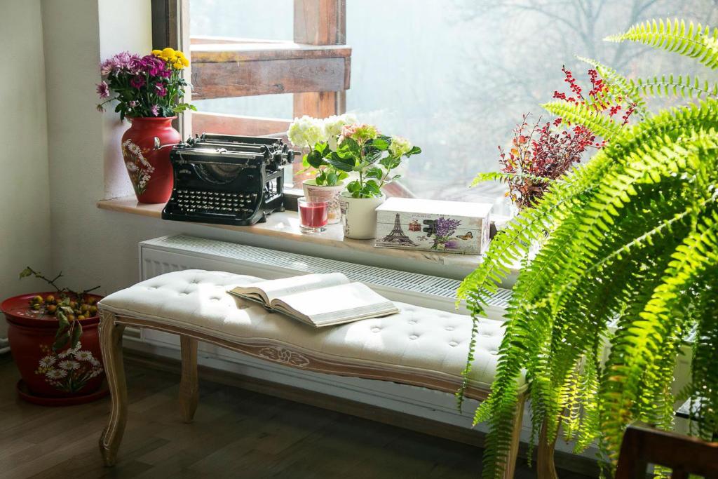 a window with a bench with an open book and plants at Pensiunea Margareta in Budeasa Mică