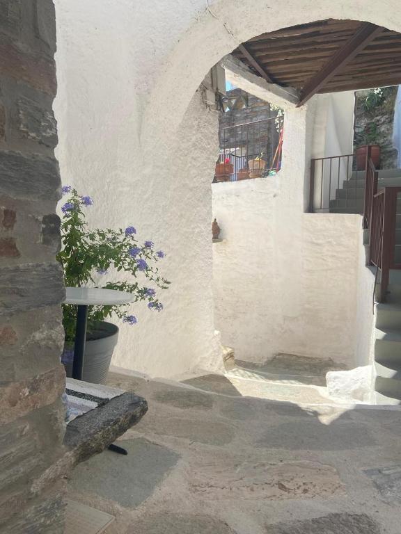 Zdjęcie z galerii obiektu Persephone w mieście Ioulida