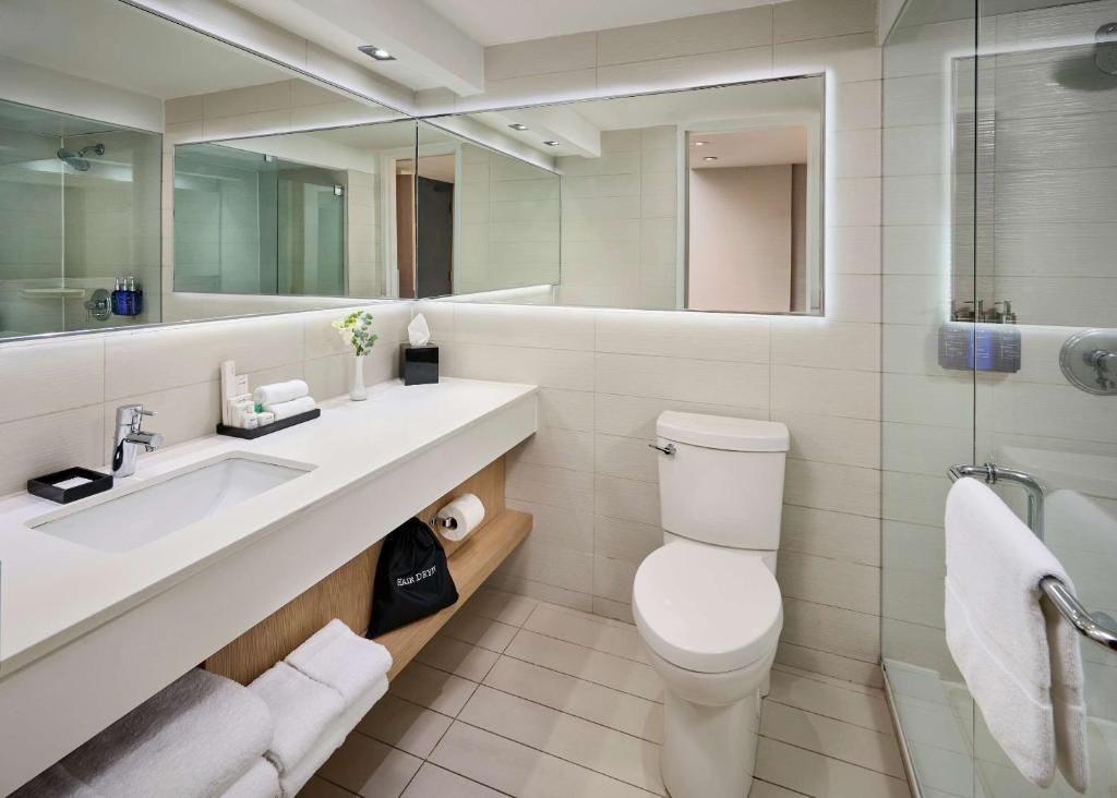 Radisson Blu Toronto Downtown - Resim 45