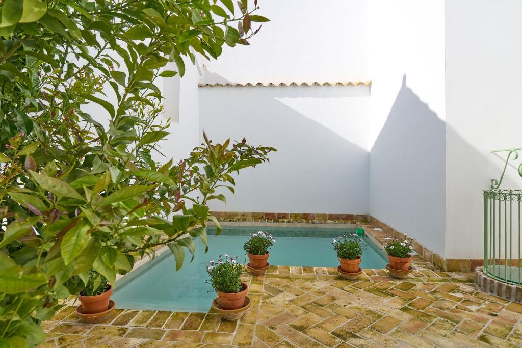 a swimming pool in a house with potted plants at Casa Palacio Vida in Espejo