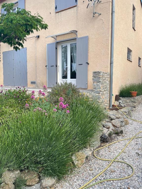 une maison avec un jardin fleuri et un tuyau dans l'établissement Entre Mer et Vigne Caves, à Caves