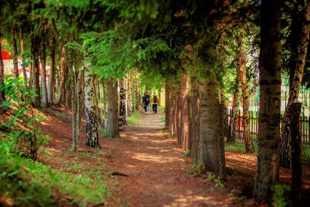 Hotel Junior - Resim 25