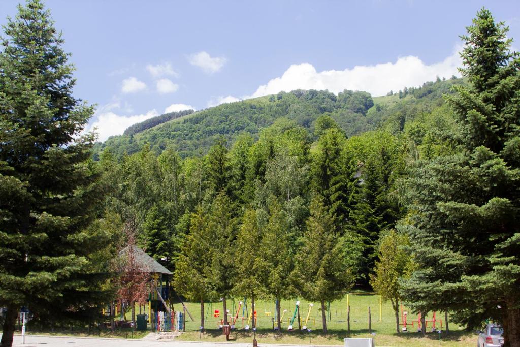 Hotel Junior - Resim 34