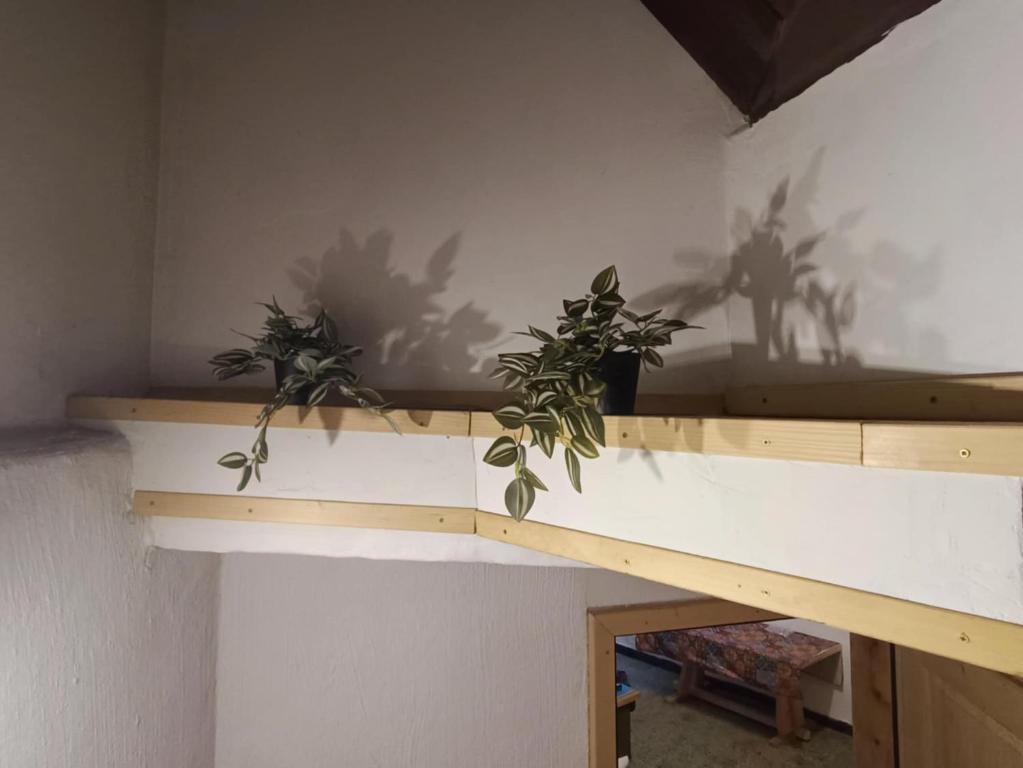 Φωτογραφία από το άλμπουμ του Sigma house σε Mojstrana