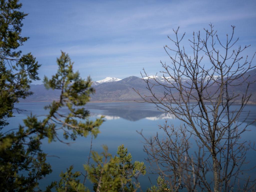 a view of crater lake through the trees at Prespes Lake View Family Apartment in Florina