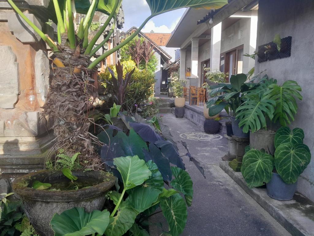 Zahrada ubytování Tirta Sari House