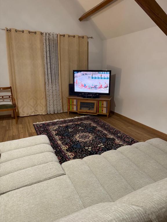 TV a/nebo společenská místnost v ubytování Chambre dans une Ecurie