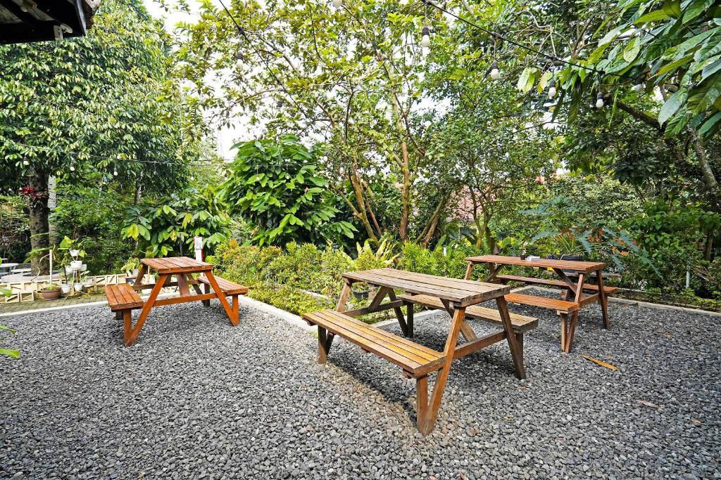 Zahrada ubytování Super OYO 91350 Garden Hostel