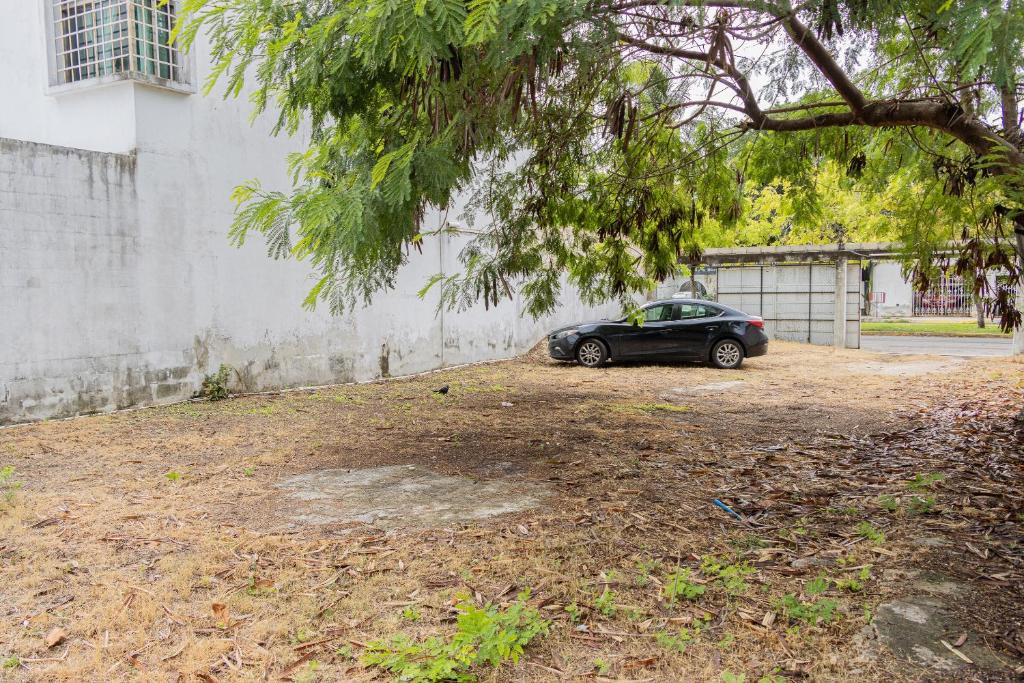 Zahrada ubytování OYO Hotel Marías,Aeropuerto Internacional de Chetumal