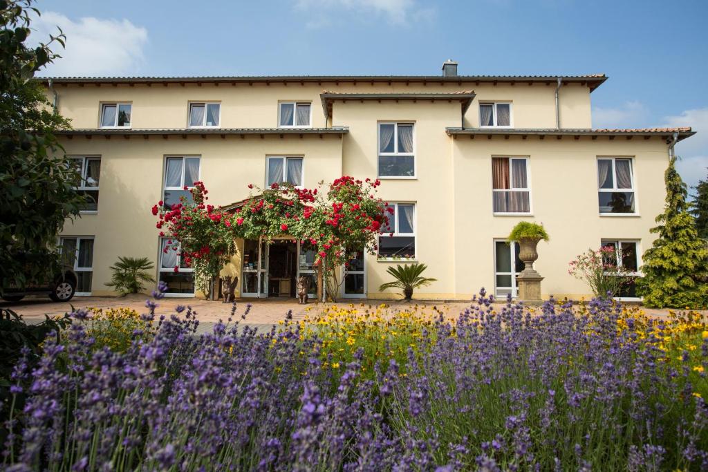 Zahrada ubytování Mediterran Hotel Juwel