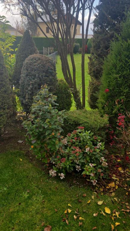 un jardin avec des buissons et des fleurs dans une cour dans l'établissement Cal Más de la Vanera, à Nahuja