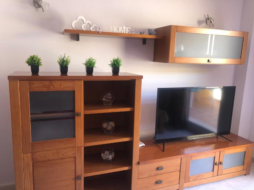 a wooden entertainment center with a television and potted plants at Paraíso in Cumbre del Sol