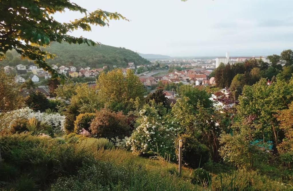 Příroda nedaleko apartmánu