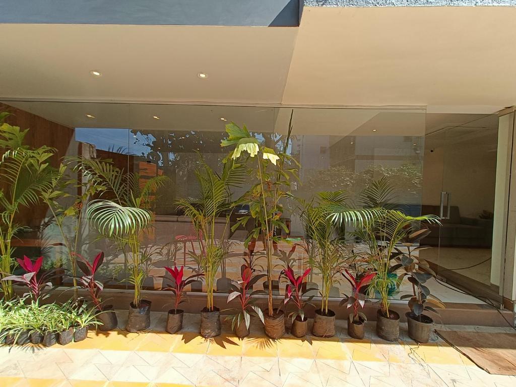 Zahrada ubytování Hsquare Hotel Andheri West