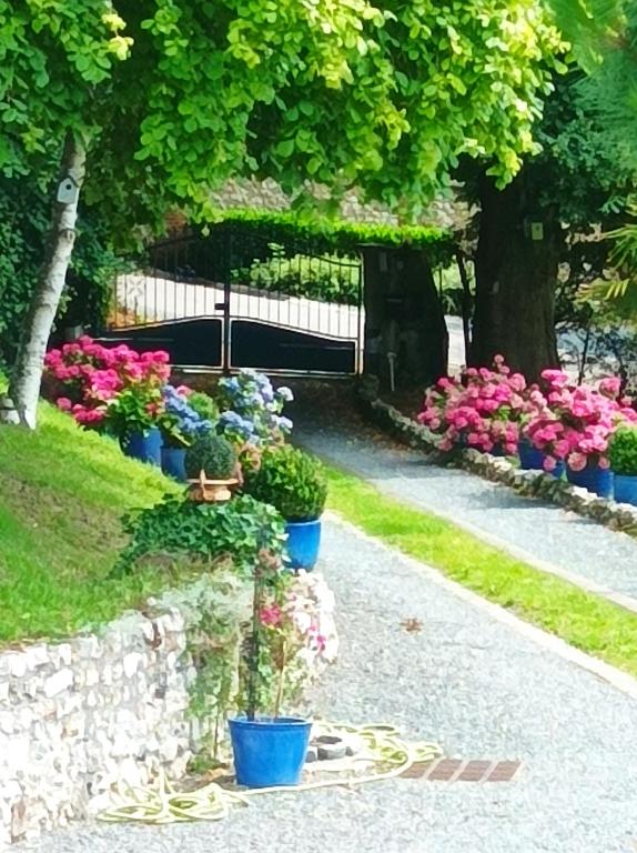 un groupe de fleurs en pots sur un mur dans l'établissement 
