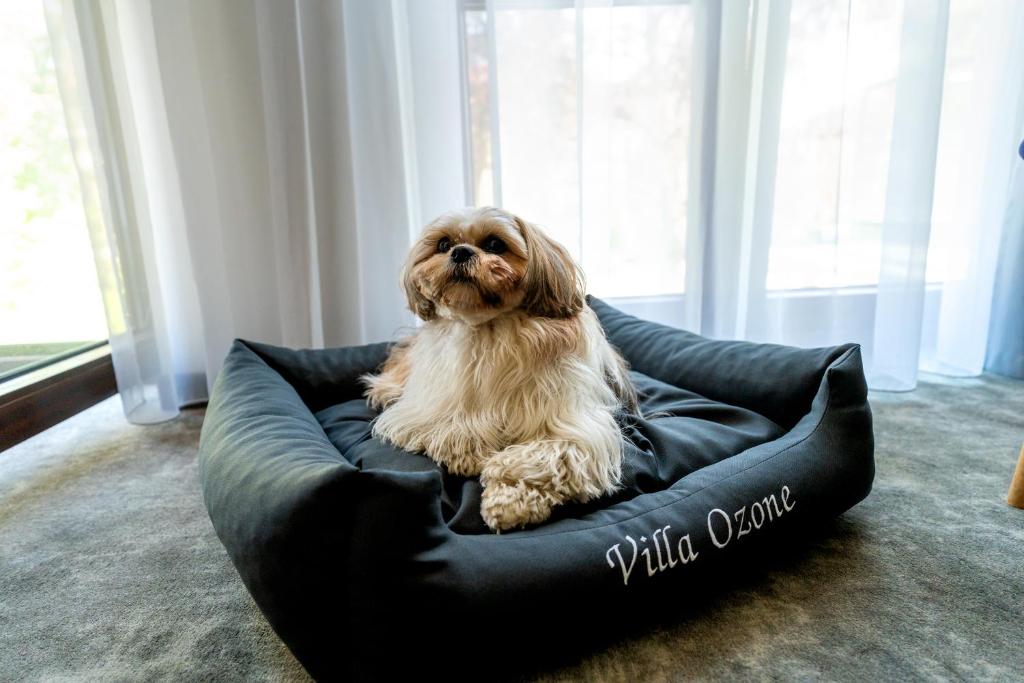 Villa Ozone - Resim 7