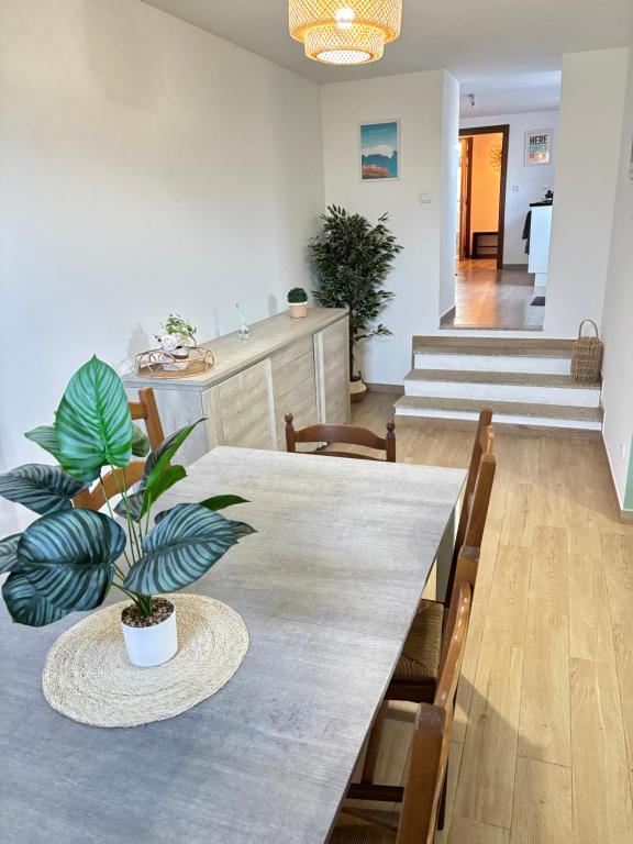 einen Esstisch mit einer Topfpflanze darauf in der Unterkunft Casa do Rendo in Albergaria-a-Velha