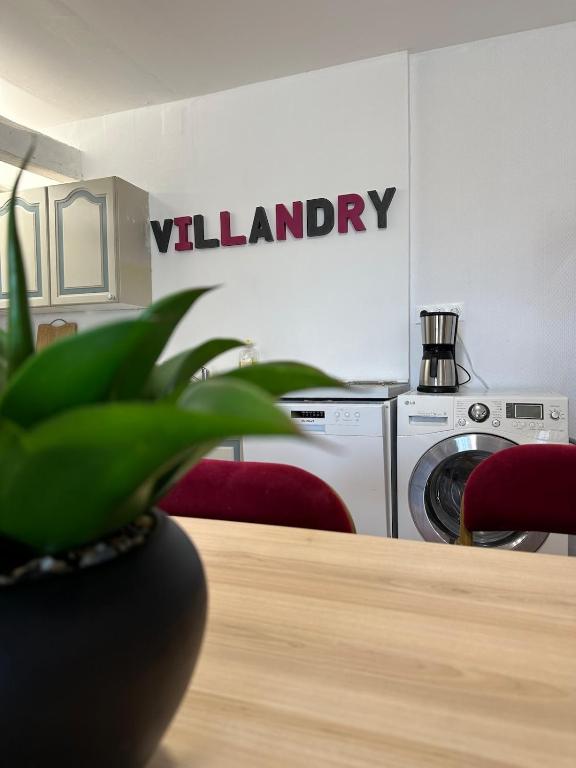 une cuisine avec un lave-linge et une table avec une plante dans l'établissement Maison de ville pour groupe, très proche du château de Villandry, à Villandry