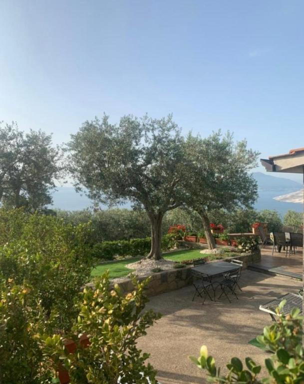 un parco con un tavolo da picnic e un albero di A Sorrento B&B,relaxing location with Seaview a Sorrento