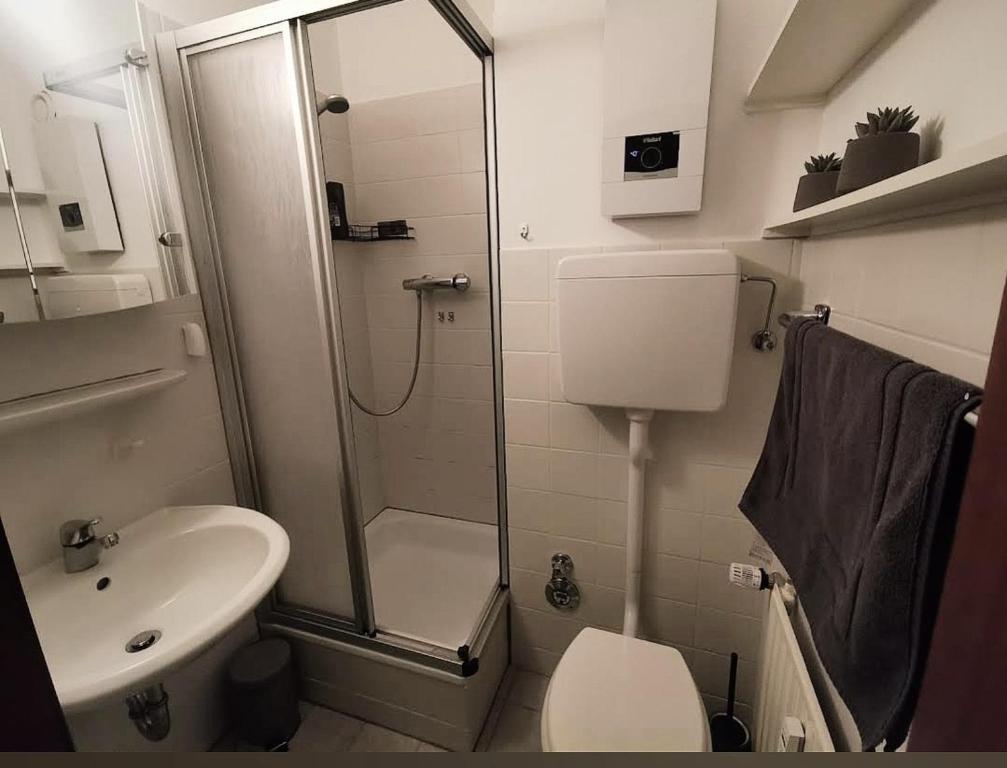 a bathroom with a shower and a toilet and a sink at Grüne Glocke in Altenau