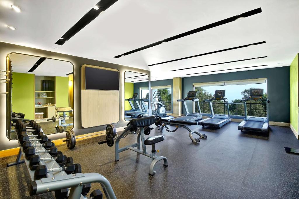 Fitness centrum a/nebo fitness zařízení v ubytování Radisson Blu Resort Dharamshala