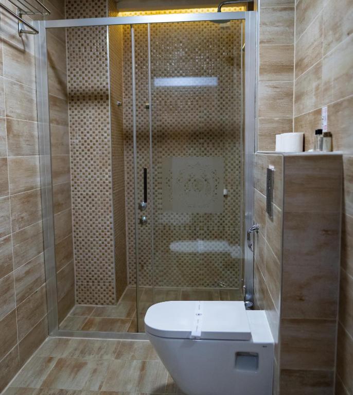 Glass-enclosed shower with patterned tile, frosted glass door, wall-mounted toilet and wood-look floor tiles at City Palace Hotel in Ohrid