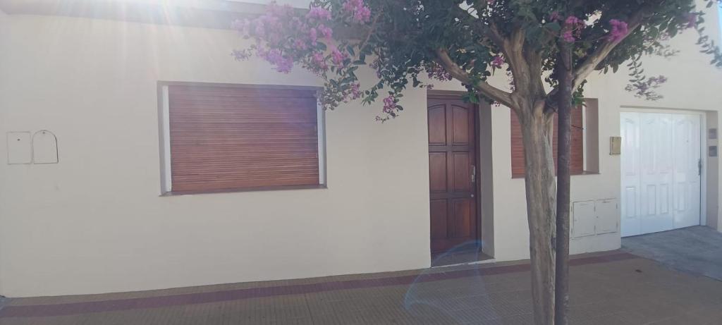 un árbol frente a un edificio con ventana en LAS HERMANAS, en Tandil