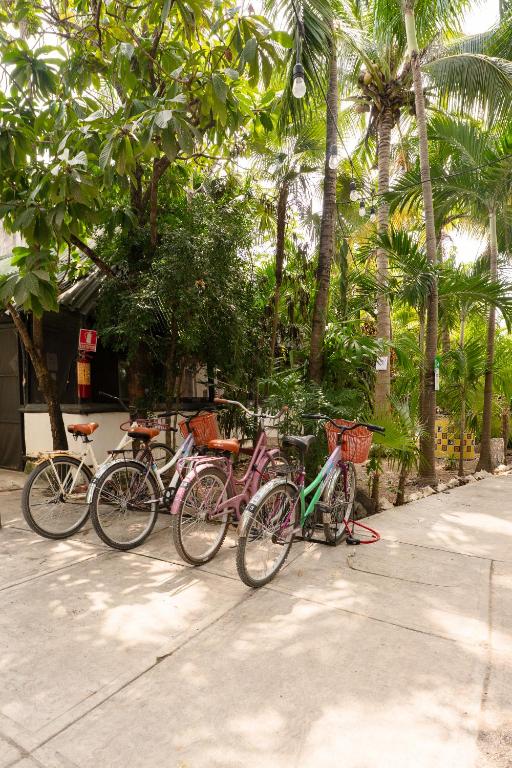 Jízda na kole v ubytování Hostel Oryx Tulum nebo okolí