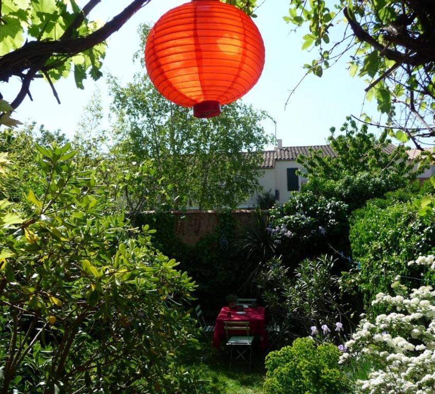 une lanterne orange suspendue à un arbre dans un jardin dans l'établissement Très jolie maison d'artiste,jardin,proche mer, à La Rochelle