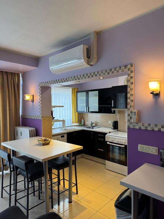 Kuchyň nebo kuchyňský kout v ubytování Aparthotel Résidence Bara Midi