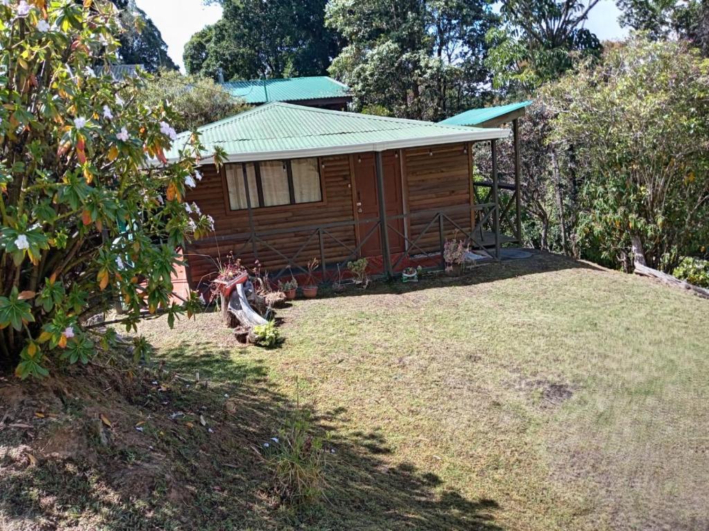 a small cabin with a yard in front of it at Cabaña 10 in San Gerardo de Dota