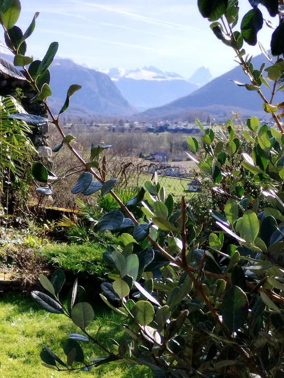 a bush with mountains in the background at Chez Mamo in Bescat